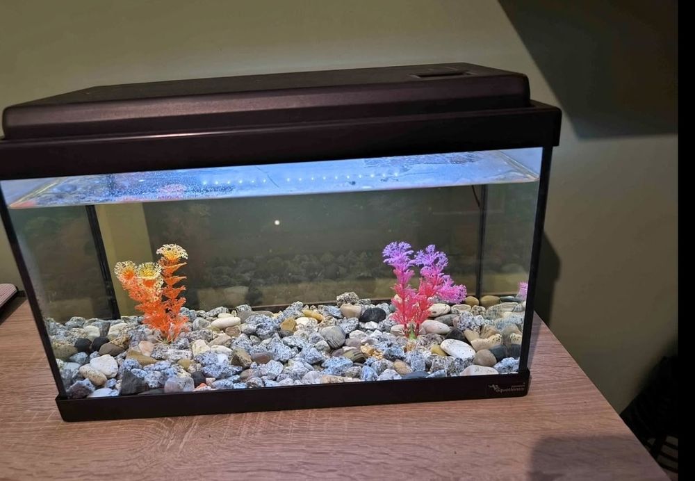Aquário de 25 litros com Luz Led