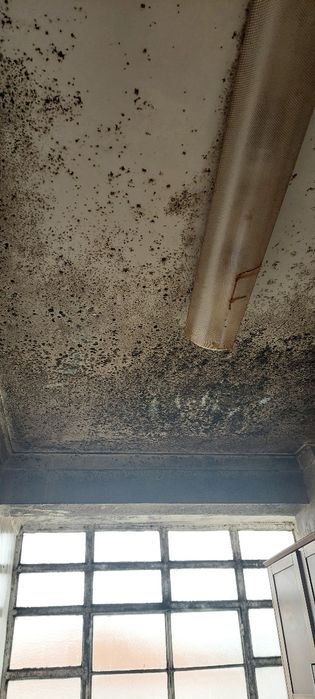 Limpeza e Organização Profissional | Com Carro Próprio