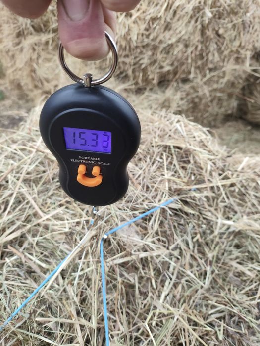 Сіно лугове в тюках