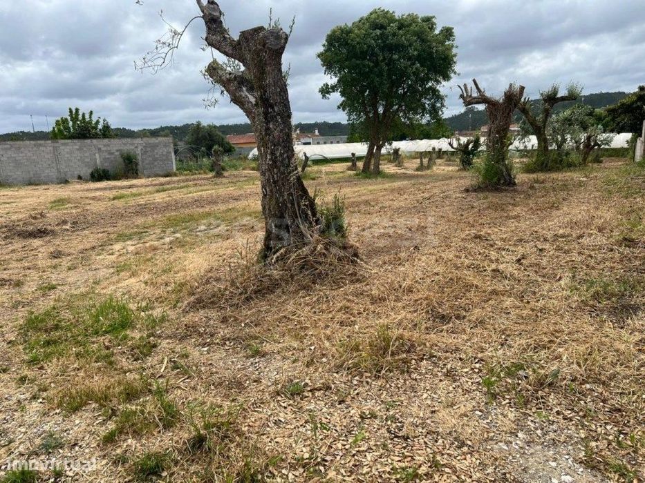 Terreno com 915m² para construção de Moradia - Ortigosa