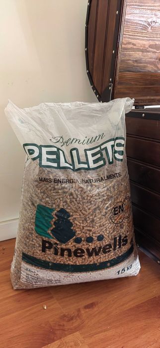 Salamandra a Pallets