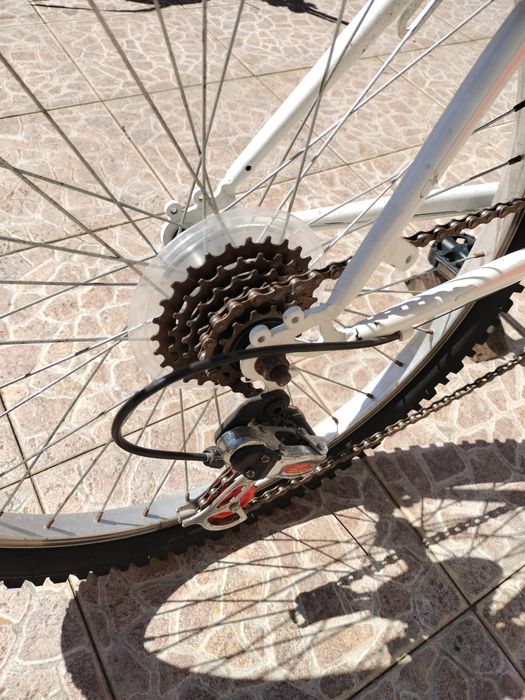 Bicicleta  Criança GOLDBIKE R24