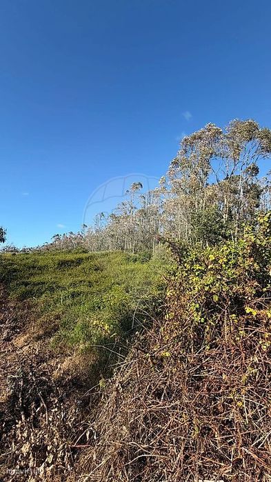 Terreno  para venda
