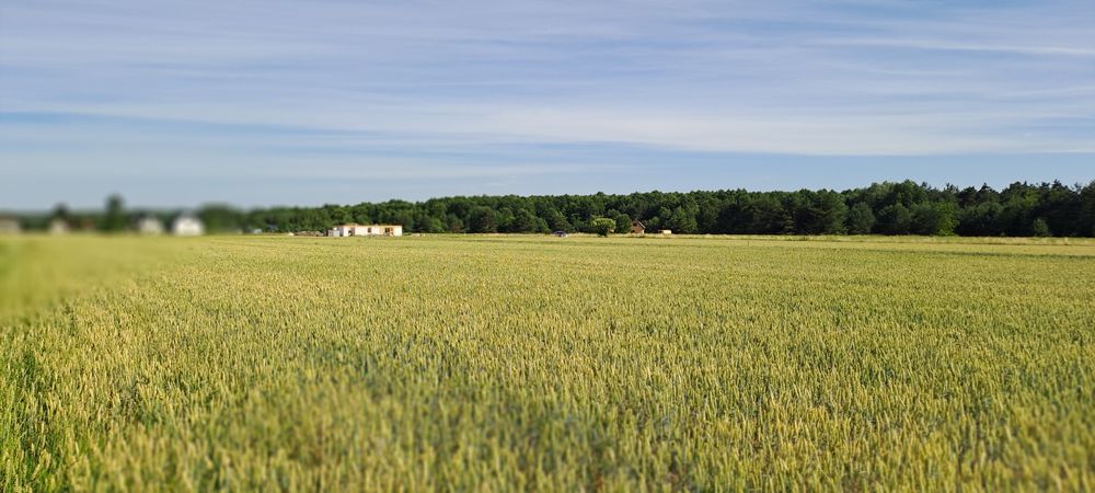 Działka budowlana na Roztoczu. 10km od Zamościa - Więcej