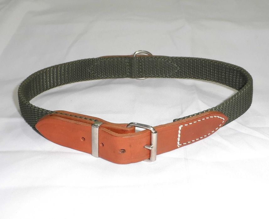 Нашийник для собаки