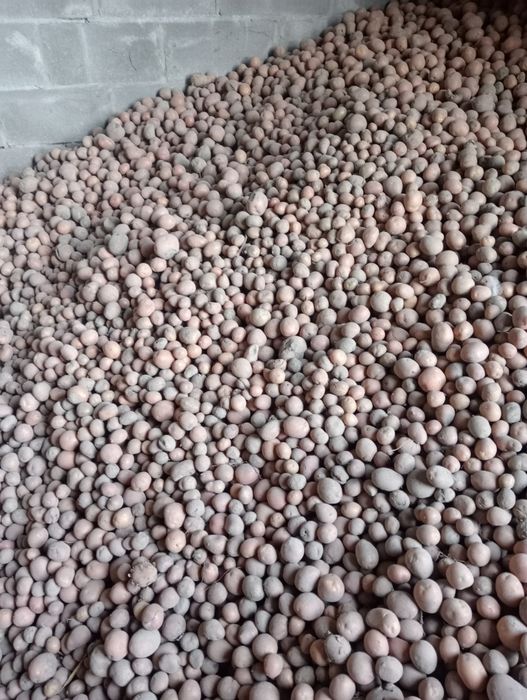 продам дрібну картоплю на корм