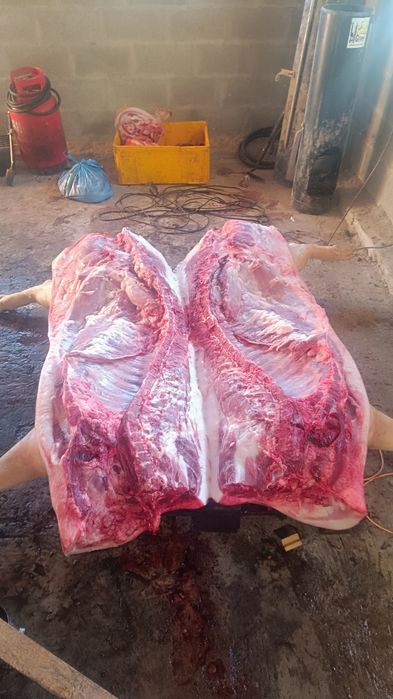 Продам півтуші свиней (є доставка)