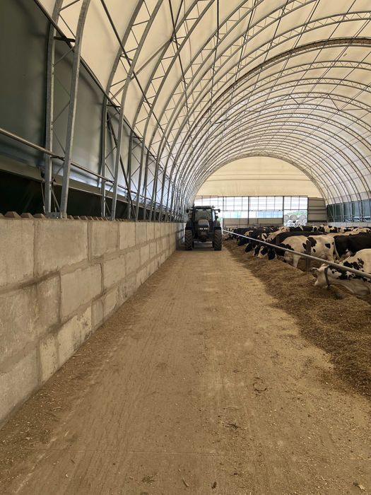 Hala Namiotowa, Hala dla Bydła, Hala na Bale, Ujeżdżalnia