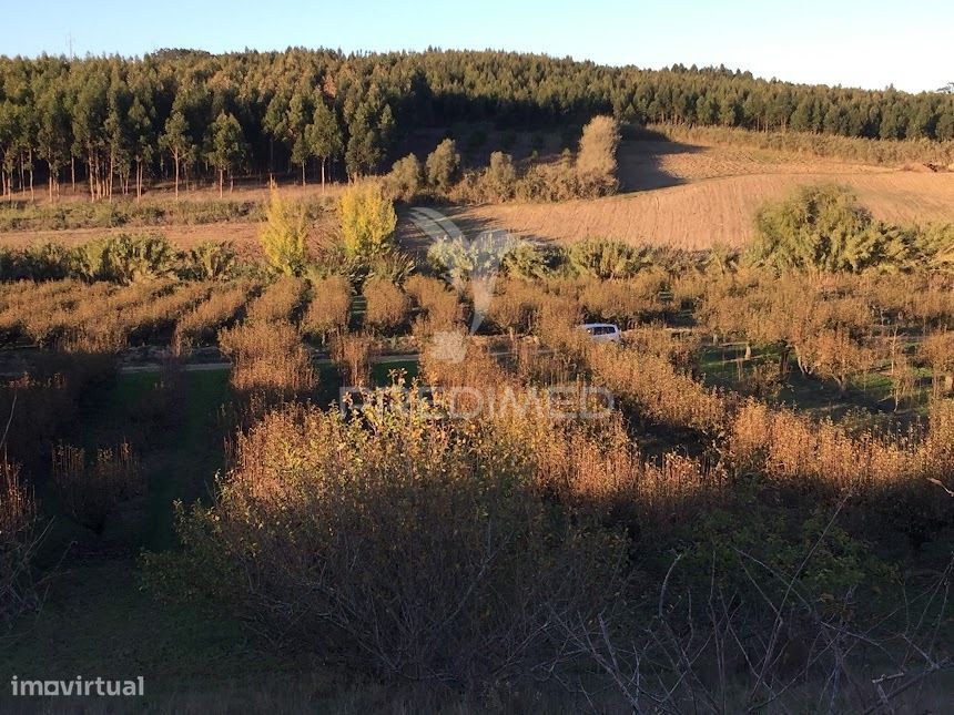 Terreno Rustico — Lourinhã E Atalaia, Lisboa