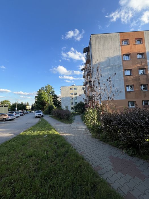 Zdjęcie 6