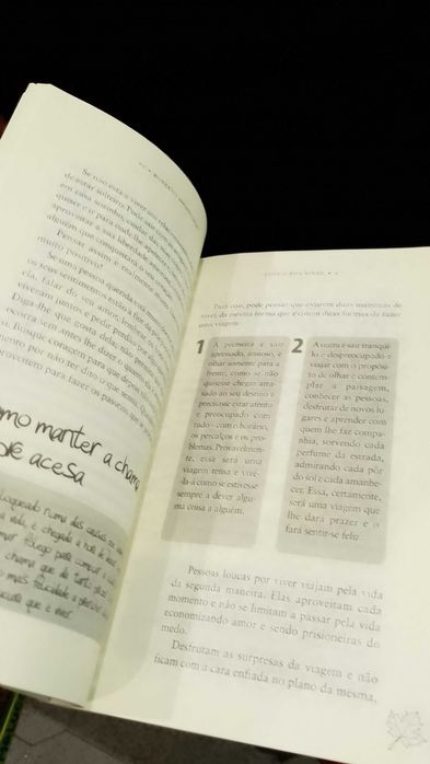 Louco por Viver - Roberto Shinyashiki