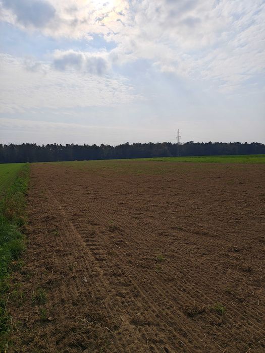 Działka budowlana Witkowice