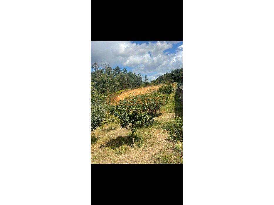 Terrenos — Mazedo E Cortes, Viana do Castelo