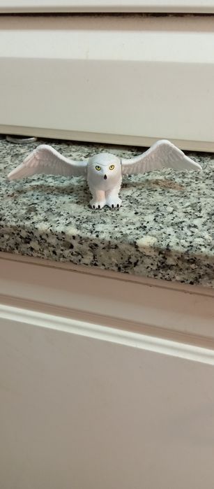 Coruja harry potter