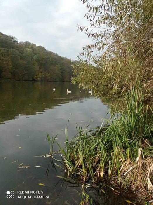 Продаж будинку , біля річки