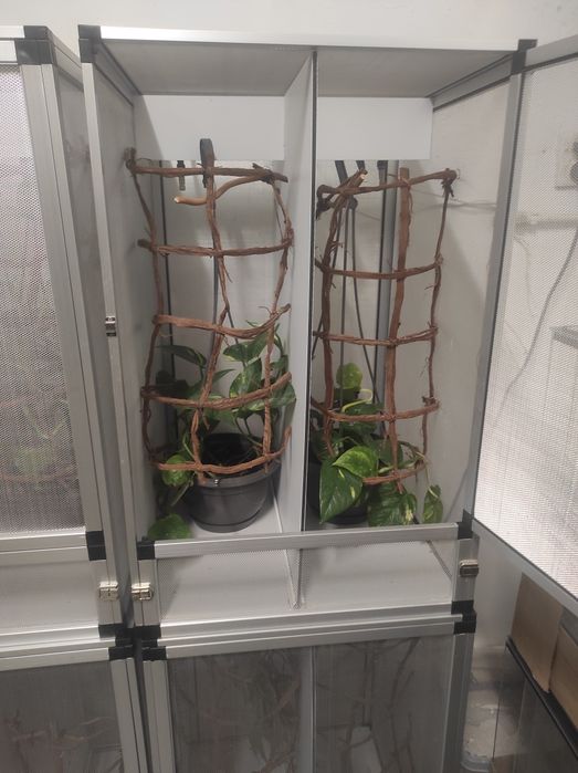 Terrarium siatkowe 43 x 43 x65