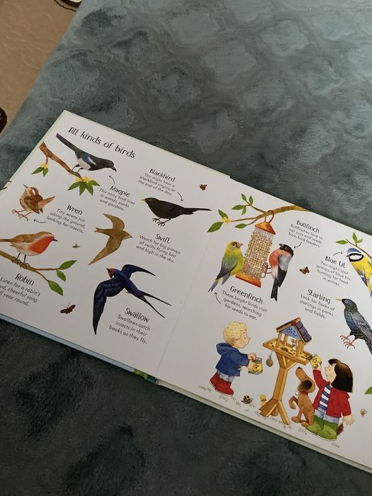 Poppy and Sam ( usborne)