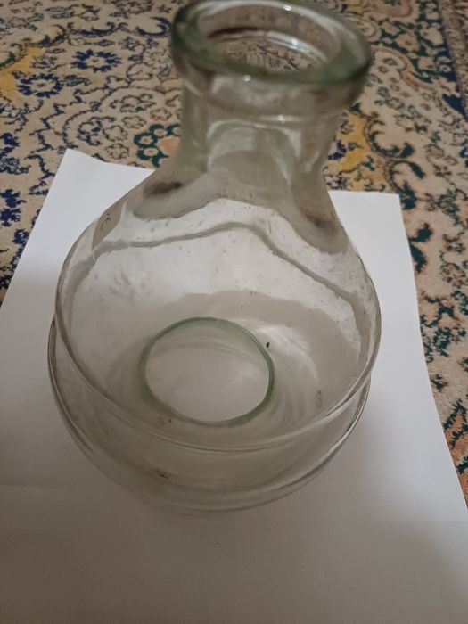 Apanha moscas de  vidro