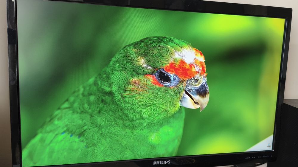 Monitor Philips 246V5L