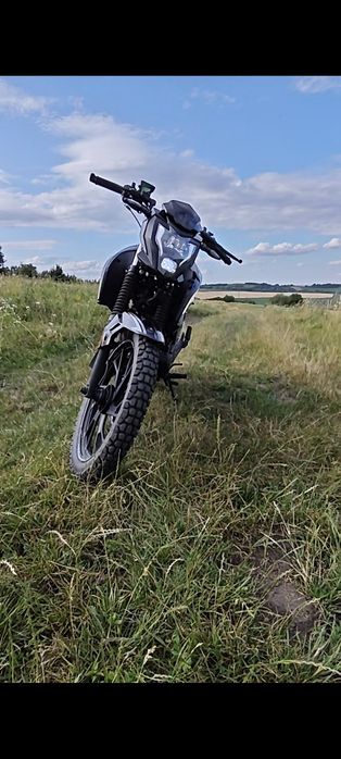 Mustang mt 250 r 9
