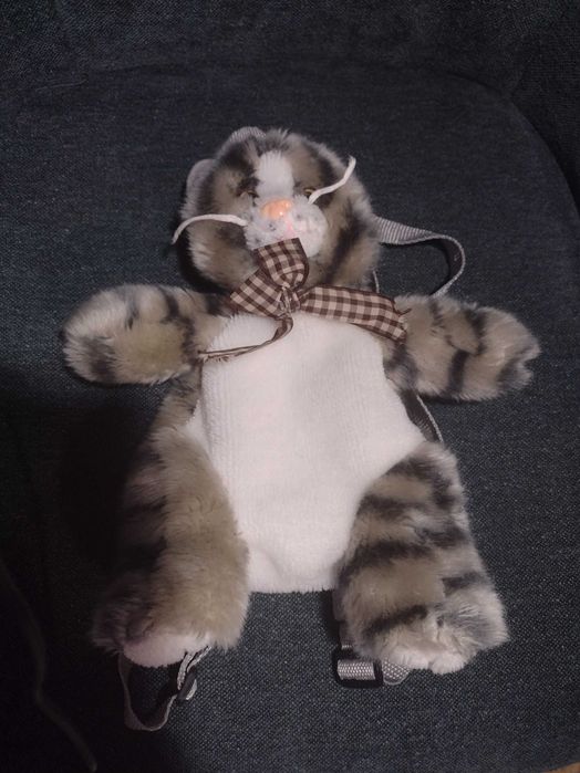 Кіт - рюкзак та кенгуру