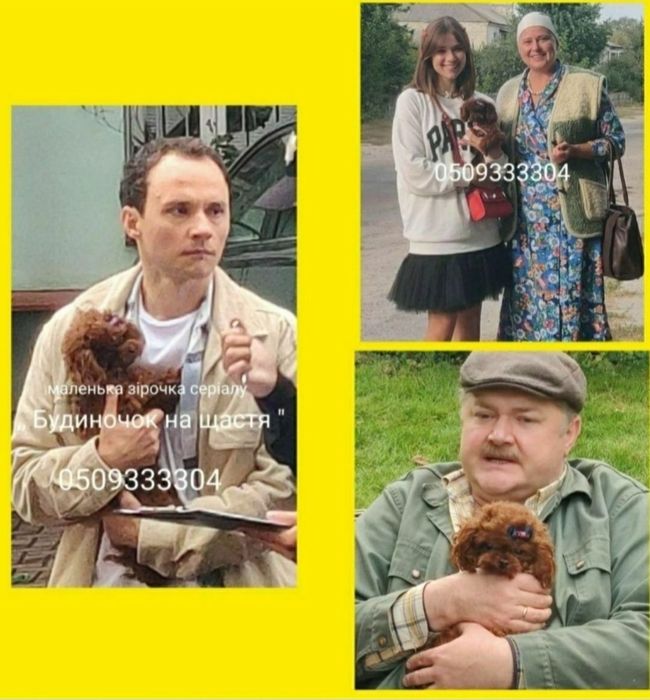 ‼️Неповторимый, сногсшибаиельный красвчик