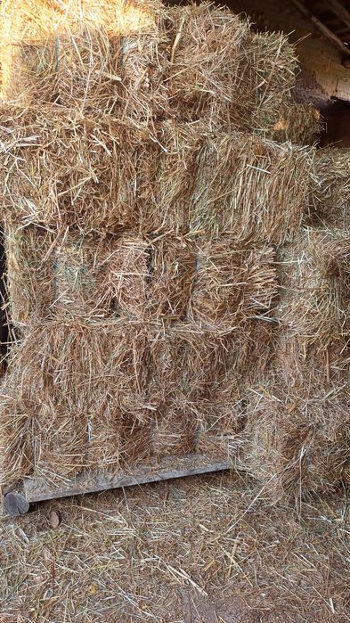 Fardos de Palha / Feno