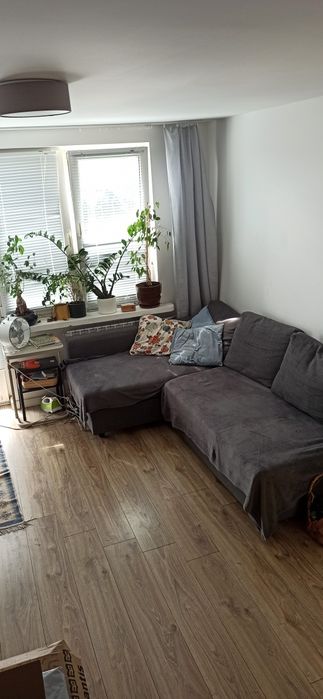 do-wynaj-cia-kawalerka-22-m2-piaseczno-olx-pl
