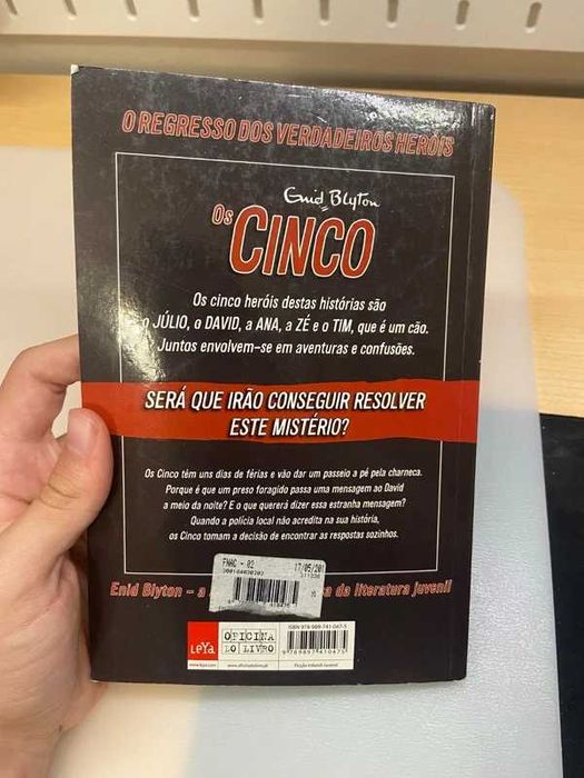 Livro Os Cinco no Lago Negro - Volume 6