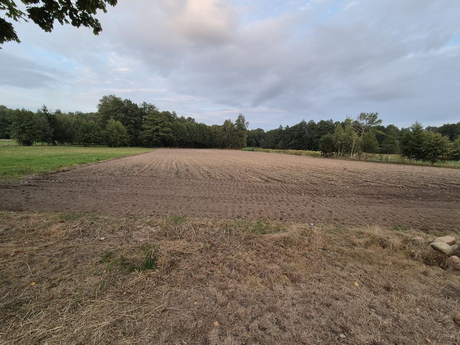 Działki z możliwością zabudowy - Widok 2