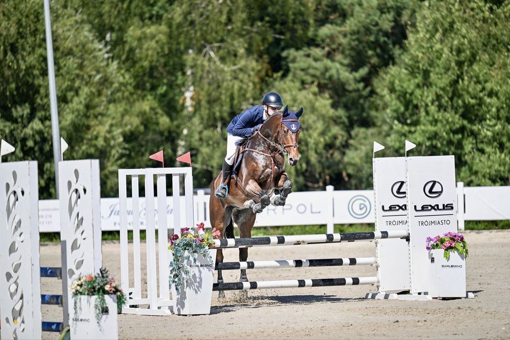 Koń profesor dla juniora/ amatora!