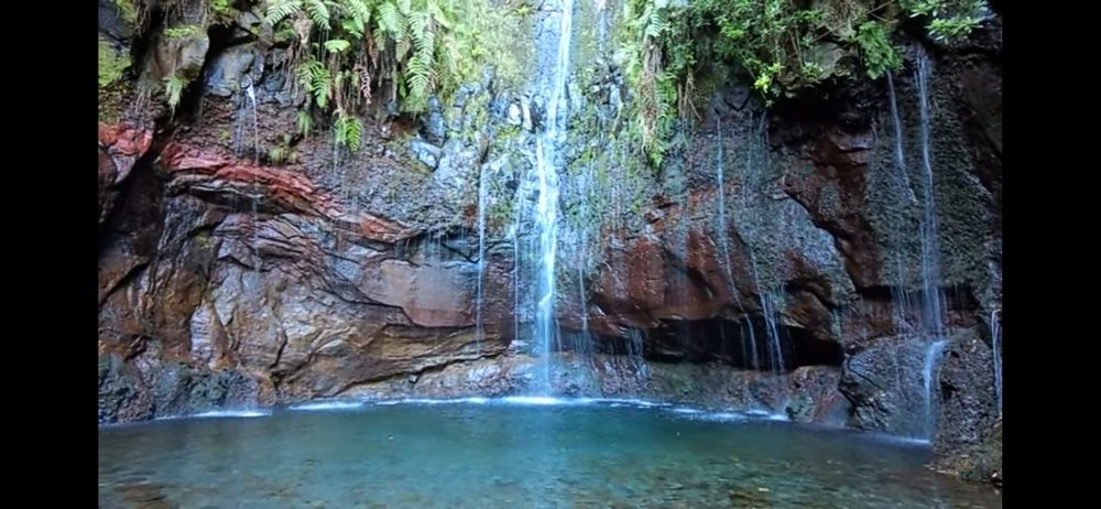 5 x•Óleos Aromaterapia-Ambientador- Fragâncias Naturais de Essências M