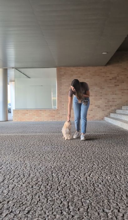 Treinadora Canina ao Domicílio visão  Enf. Veterinária – Grande Porto