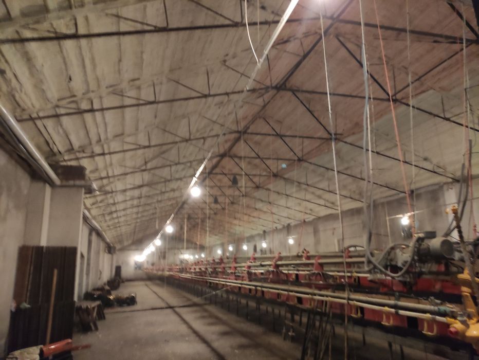 Izolacje natryskowe - Piana PUR, wdmuchiwane - wełna i celuloza