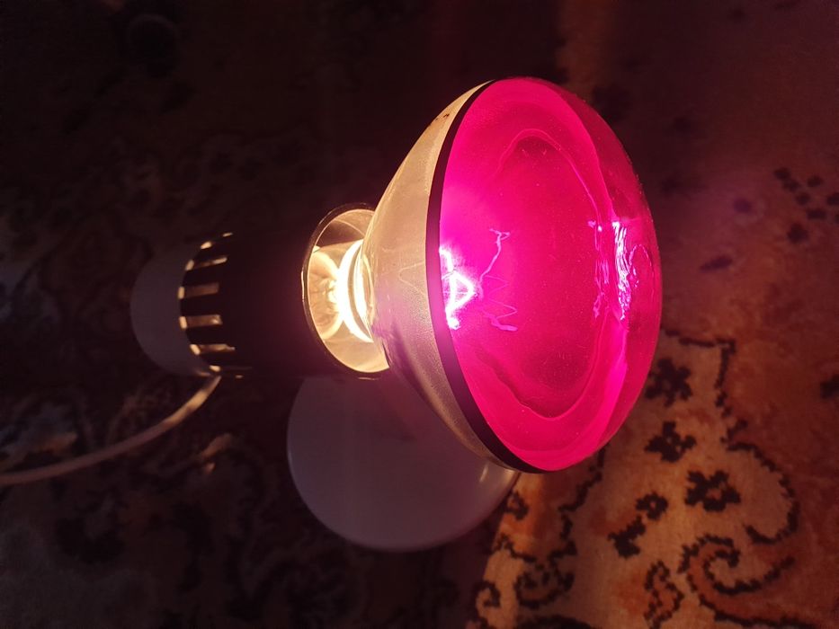 Lampa grzewcza,medyczna, ksl j5 250 W.