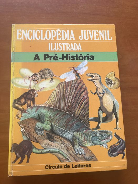 Enciclopédia Juvenil Ilustrada