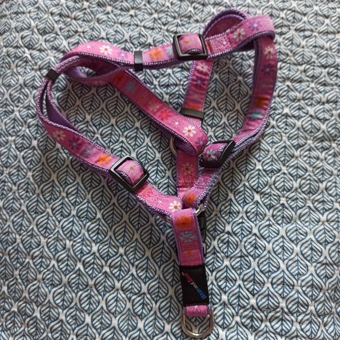 Шлея для собак ошийник  світлодіодний M і поводок іграшки для тварин