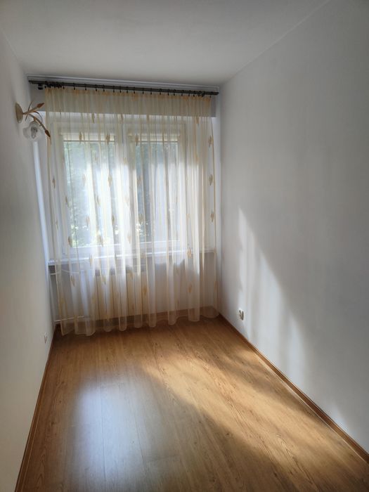 Zdjęcie 3