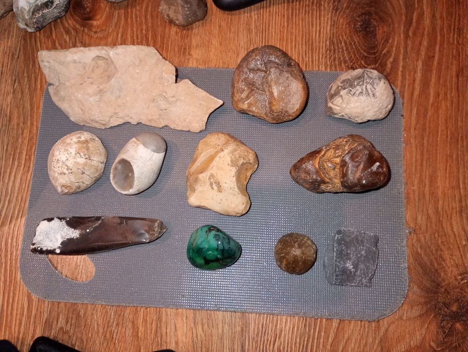 Skamieniałości karton