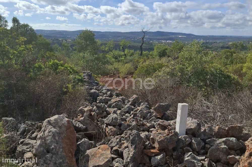 Terreno Rústico em Monte Brito com 18.390m2