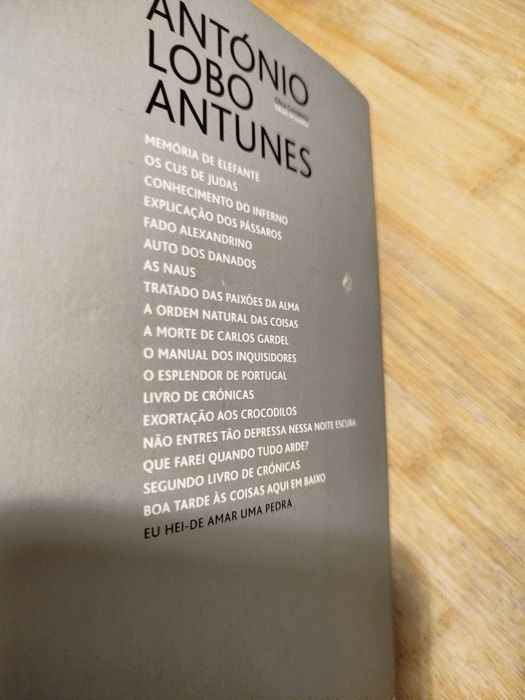 Eu Hei-de Amar uma Pedra de António Lobo Antunes
