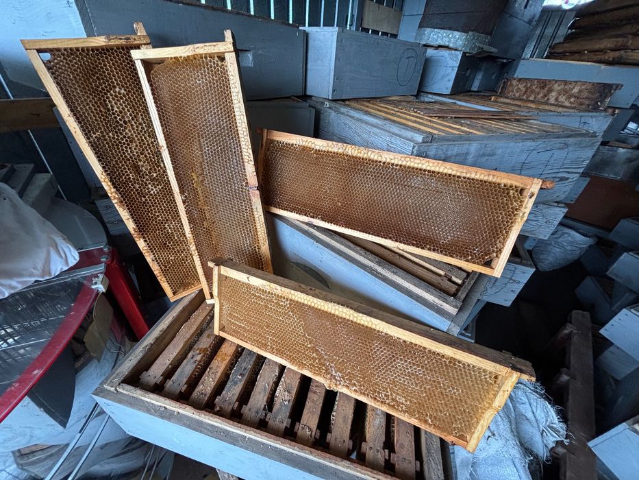 Напіврамка суш для вуликів.