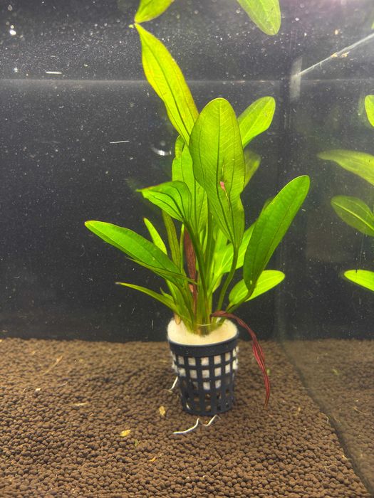 Żabienice MIX M.G Quarium