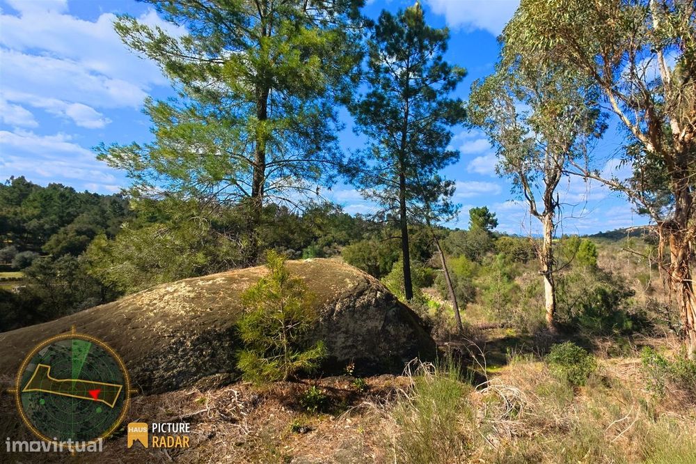 Terreno 1.1ha com Ruína e Vale Fértil | Cafede, Castelo Branco
