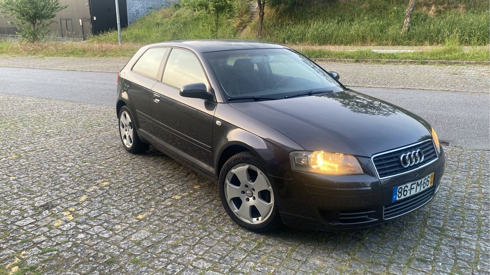 Audi A3 8P 1.9TDI