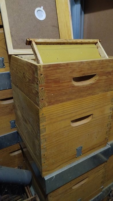 Colmeias  novas completas lusitana