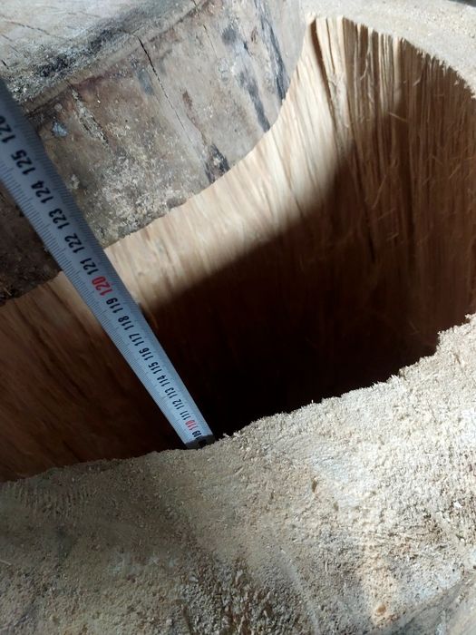 Buda legowa, kaczki, ary, kakadu, amazonki.