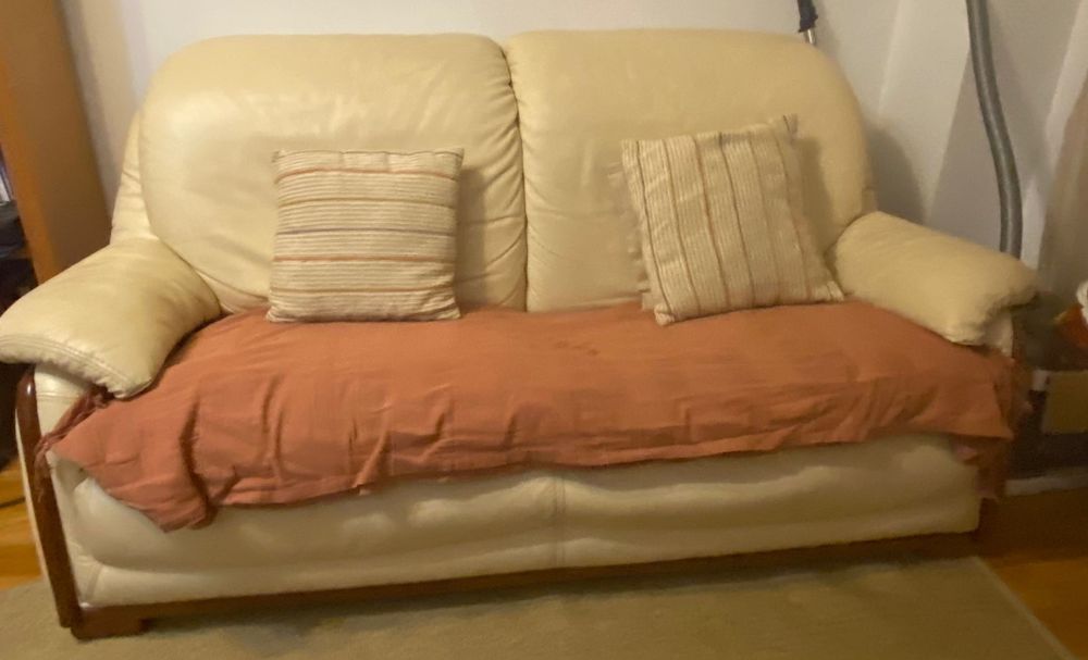 Sofá confortável de pele verdadeira  2-3 lugares