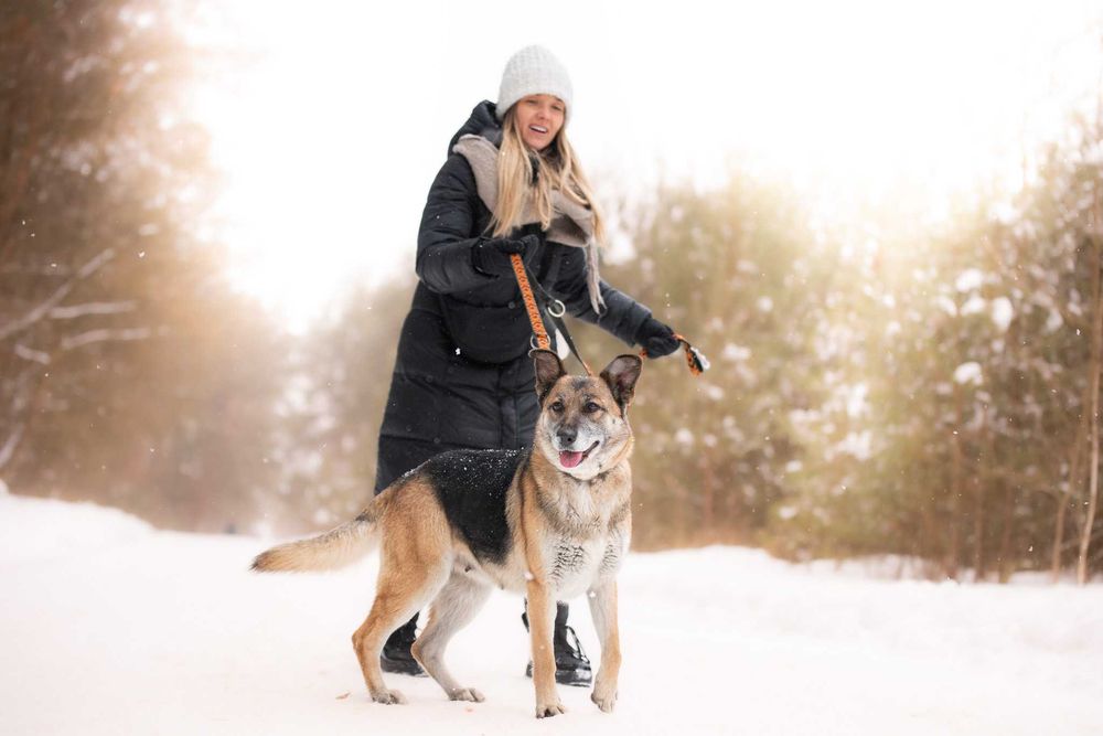 LERDA - owczarkowa, łagodna i ułożona dama