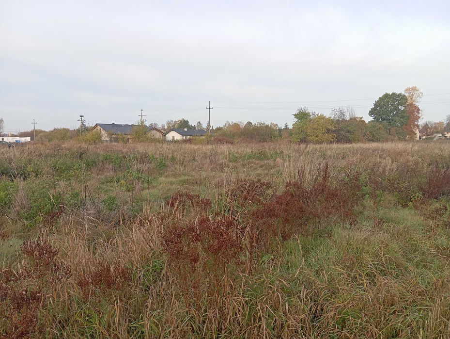 Działka budowlana Cieplewo (Pruszcz Gdański) - Więcej